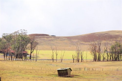 Ranch land along the Saddle Road.  c. 2015 S.A. Jones.